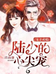 宠妻成瘾:陆少的心尖宠 宠妻成瘾:陆少的心尖宠