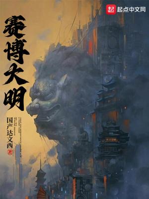 赛博大明 赛博大明